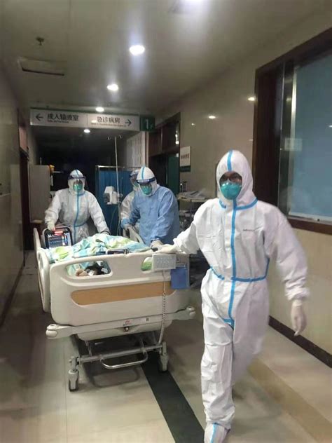 THE POWER OF THE IMMUNE SYSTEM (CHINESE TEXT TRANSLATION)