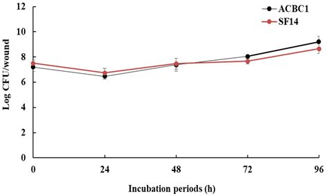 Improving the Biocontrol Potential of Bacterial Antagonists with ...