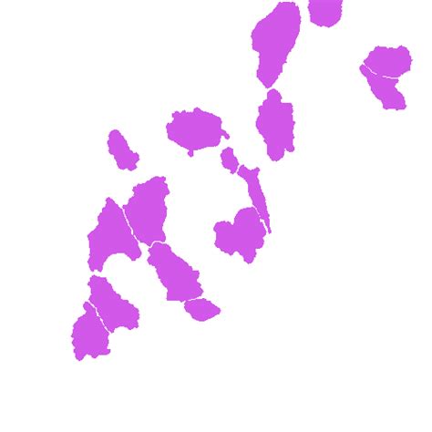 Annotated Quantitative Phase Microscopy Cell - Dataset Ninja