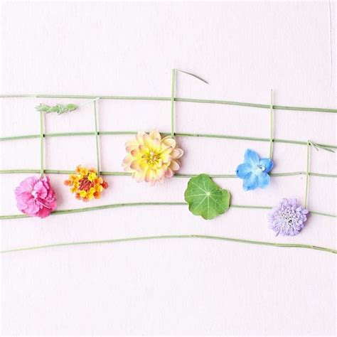 Spring Flower Song 的图像结果