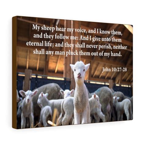 Scripture Walls My Sheep Hear My Voice John 10:27-28 My Sheep Hear My ...