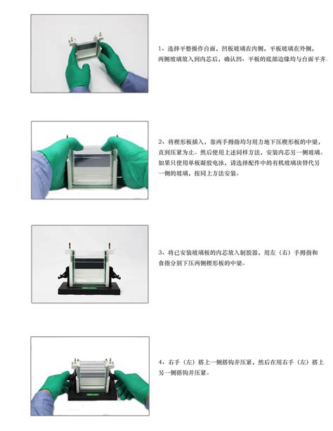 DYCZ-24EN型双垂直电泳仪(中号)