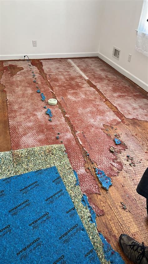 How Do You Remove Carpet Glue from Hardwood Floors: Expert Tips ...