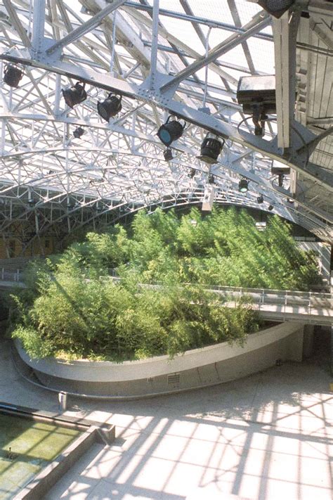 Dr. Theodore Alexander Science Center School - Larry Speck