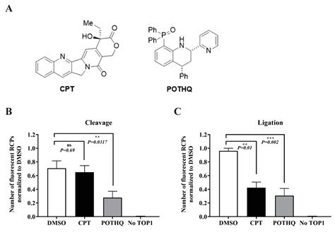Simple and Fast DNA Based Sensor System for Screening of Small-Molecule ...