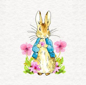 Image result for Rabbit SpO2