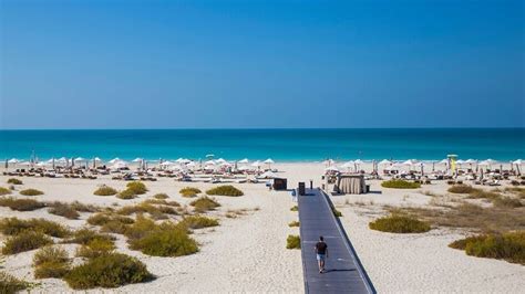 https://www.happydesertsafari.com/images/blogs/saadiyat-beach-abu-dhabi-1.jpg