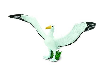Buy Safari Ltd. Giant Albatross - Realistic Hand Painted Toy Figurine ...