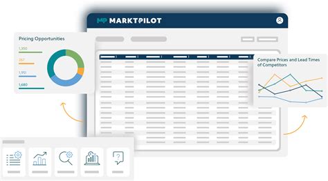 Digital Champion: Definition, Characteristics and Benefits