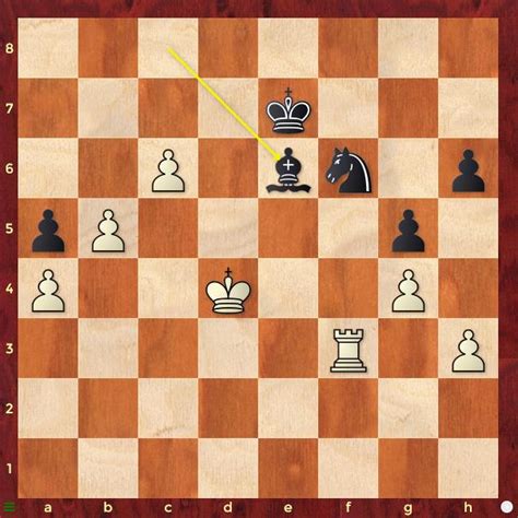 1st FIDE Olympiad for PwD 2023 R4: India holds Hungary to a draw ...