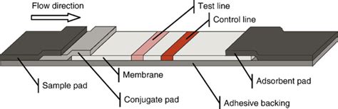 From Lateral Flow Devices to a Novel Nano-Color Microfluidic Assay