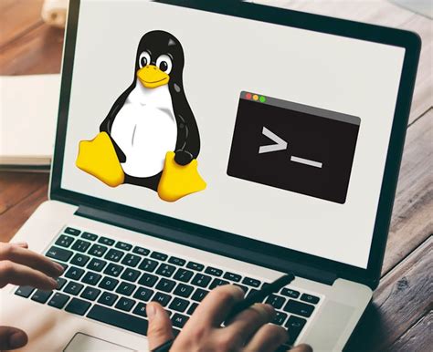 Image result for Download Scratch Course