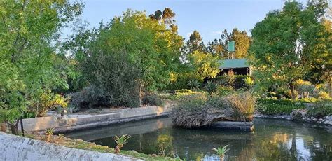 FYNBOS FARM ANIMAL SANCTUARY - All You Need to Know BEFORE You Go (with ...