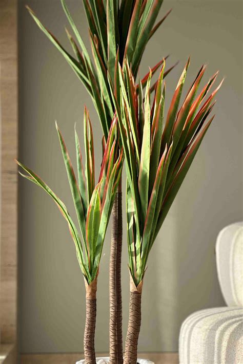 TALL PLANTS