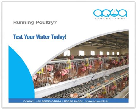 Water Testing, Analysis Lab Services For Poultry Hygiene Applications