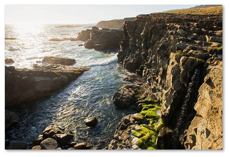 Lance Kuehne 'Wild Sonoma Coast' Canvas Art, 22"x 32" - Beach Style ...