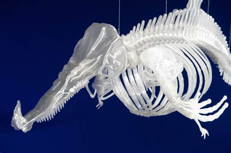 Pınar Yoldaş: An Ecosystem of Excess · Senckenberg Naturmuseum Frankfurt