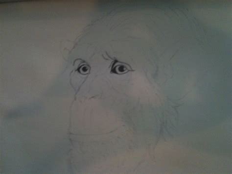 Code Monkey Animation 的图像结果