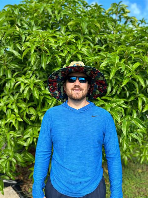 Image result for Dwarf Mango Tree Care