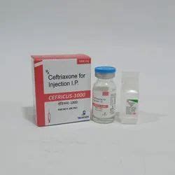 Pharmaceutical Injection - Triamcinilone Acetonide Injections Ip ...