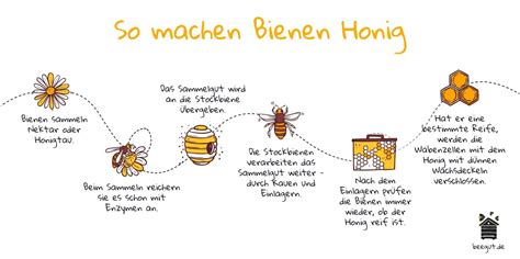 Wie Machen Die Bienen Honig