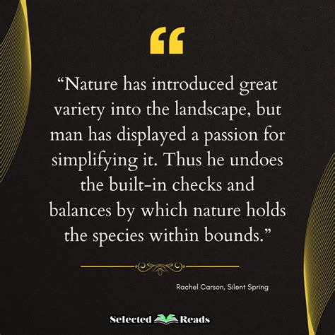 Silent Spring 的图像结果