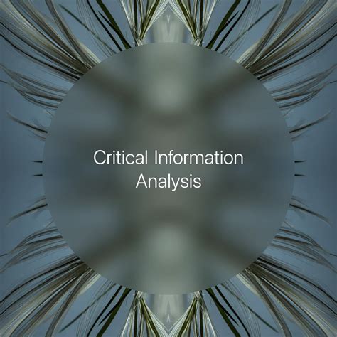 Critical Information 的图像结果