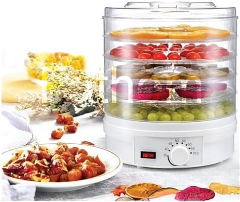 Buy Stainless Steel Food Dehydrator Machine, Fruit & Vegetable Dryer ...