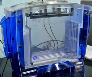 Aravind Medical Research Foundation