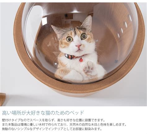 Buy MYZOO Spaceship Gamma, Pet Bed for Cat & Dog, Window Perch, Cat ...