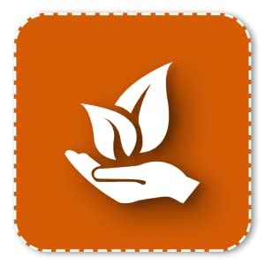 KINGZOMY ®Rechargeable Mini Remote Control Flying Drone Without Camera ...