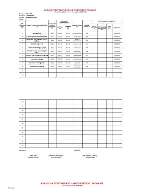 Local Development Investment Plan Sample 的图像结果