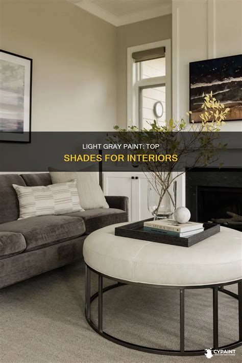 Light Gray Paint: Top Shades For Interiors | CyPaint