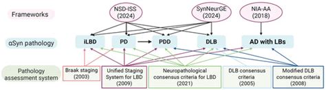 Alpha-Synuclein in Neurodegeneration: From Shared Biology to Disease ...