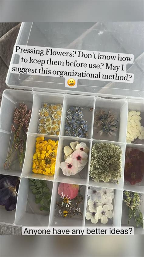 How to make a diy flower press preserve your blooms – Artofit