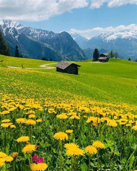 Belle Nature 的图像结果