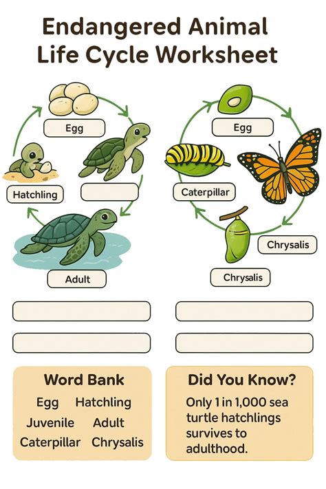 Endangered Animal Life Cycle Worksheet - Download & Print Now!