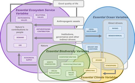 Essential Ecosystem Service Variables for Monitoring Progress Towards ...