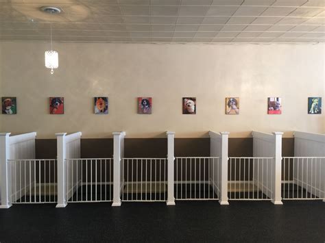 Dog Kennel Designs, Diy Dog Kennel, Kennel Ideas, Dog Kennel Outdoor ...