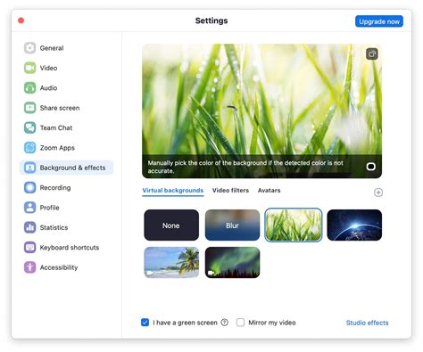 Green Screen Background for Zoom 的图像结果