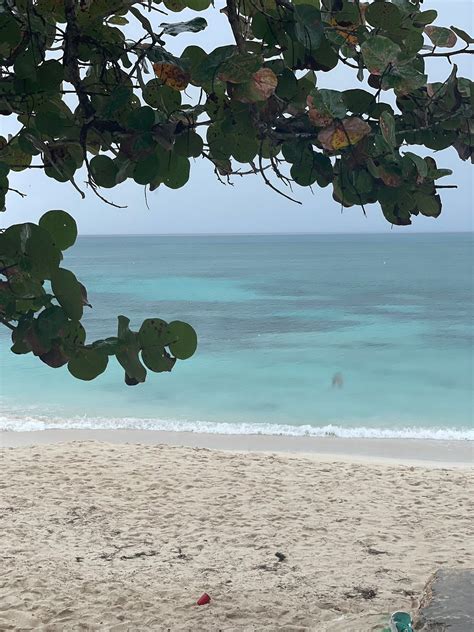 SUNSCAPE DOMINICUS LA ROMANA - Hotel Reviews, Photos, Rate Comparison ...