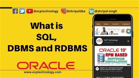 Image result for SQL in DBMS