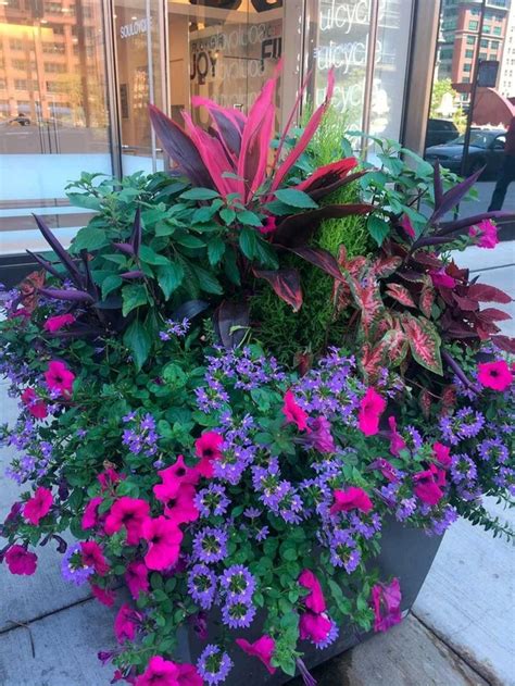 15 beautiful flower hanging baskets best plant lists – Artofit