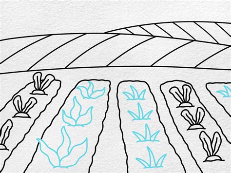 How to Draw a Farm Field - HelloArtsy