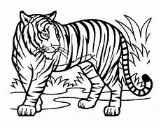malvorlagen tiger kostenlos ausdrucken tiger malvorlagen kostenlos zum ausdrucken ausmalbilder malvorlagen tiger kostenlos ausdrucken tiger malvorlagen kostenlos zum ausdrucken ausmalbilder