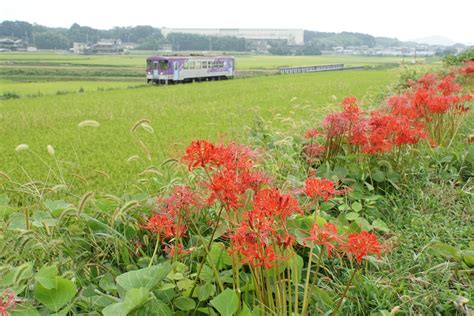 » 9月の麺ランチのﾒﾆｭｰは、こちらです！