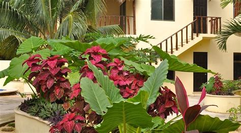 VILLAS AKALAN (Tulum) - Villa Reviews, Photos, Rate Comparison ...