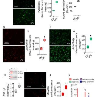 LPS Algorithm 的图像结果