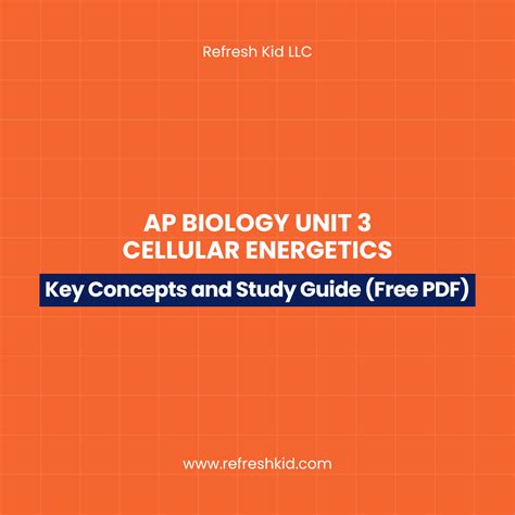 AP Biology Unit 3 Cellular Energetics Study Guide Free PDF