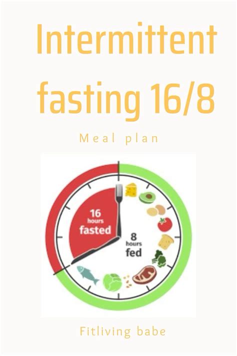 Everything you need to know about 16 8 intermittent fasting method – Artofit